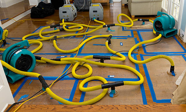 Professional Water Damage Restoration technician working in Smyrna, DE